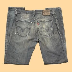 Levi's 510 Men's Blue Jeans